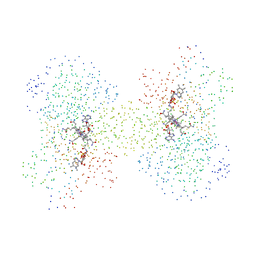 BU of 1i9c by Molmil