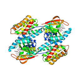 BU of 1ib1 by Molmil