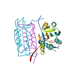 BU of 1ibc by Molmil