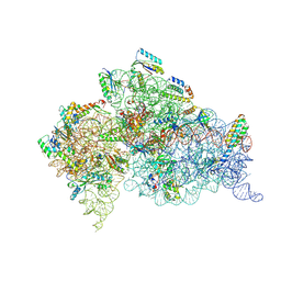 BU of 1ibm by Molmil