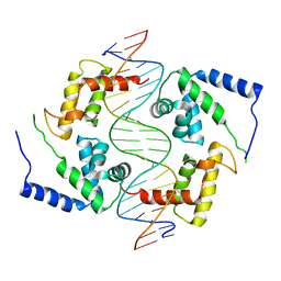 BU of 1ic8 by Molmil