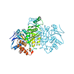 BU of 1idc by Molmil