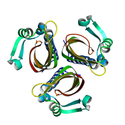 BU of 1idp by Molmil