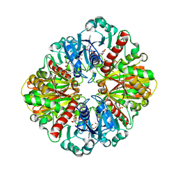 BU of 1ihx by Molmil