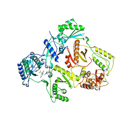 BU of 1ikv by Molmil