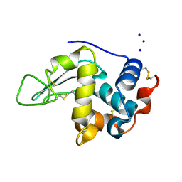 BU of 1ioc by Molmil