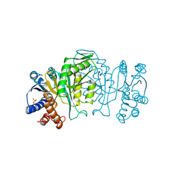 BU of 1ipd by Molmil