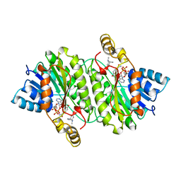 BU of 1ipf by Molmil