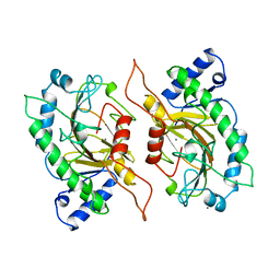 AU of 1ips by Molmil