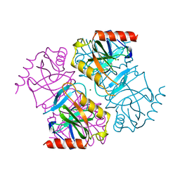 BU of 1ipw by Molmil