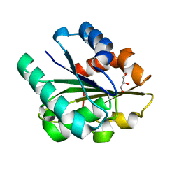 BU of 1isp by Molmil