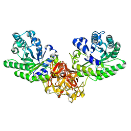 BU of 1isw by Molmil