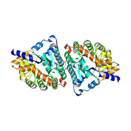 BU of 1itq by Molmil