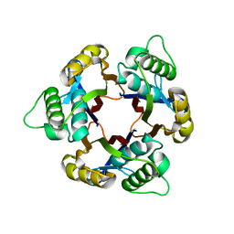 BU of 1iv1 by Molmil