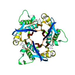 BU of 1iv2 by Molmil