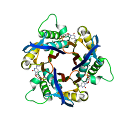 BU of 1iv4 by Molmil