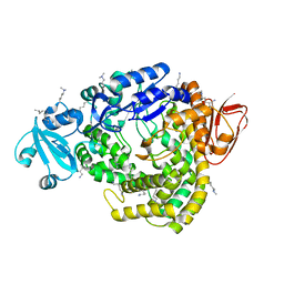 BU of 1iv8 by Molmil