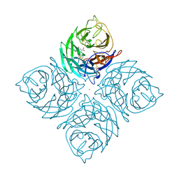 BU of 1ivb by Molmil