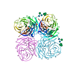 BU of 1ivf by Molmil