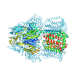 BU of 1iwg by Molmil