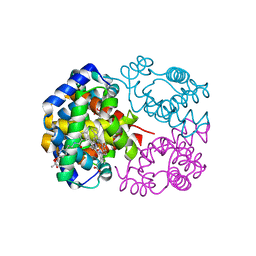 BU of 1iwh by Molmil