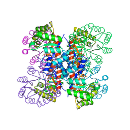 BU of 1ixp by Molmil