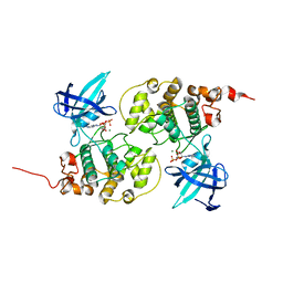 BU of 1j1c by Molmil