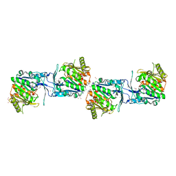 AU of 1j5v by Molmil