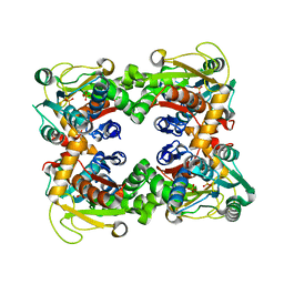 AU of 1j6n by Molmil