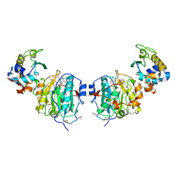 AU of 1j94 by Molmil