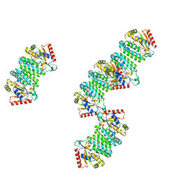 AU of 1jag by Molmil