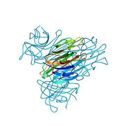 BU of 1jbc by Molmil