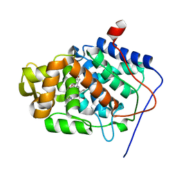 BU of 1jci by Molmil