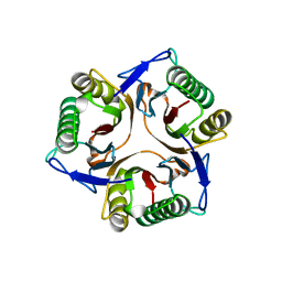 BU of 1jd1 by Molmil