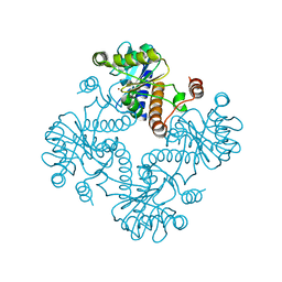 BU of 1jdi by Molmil