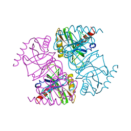 BU of 1jfd by Molmil