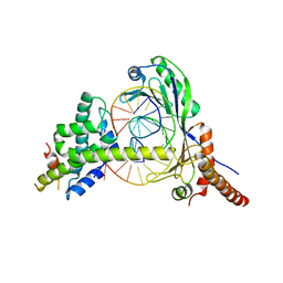 BU of 1jfi by Molmil