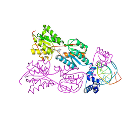 BU of 1jfs by Molmil