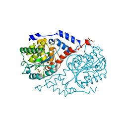 BU of 1jhv by Molmil