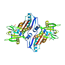 BU of 1jjo by Molmil