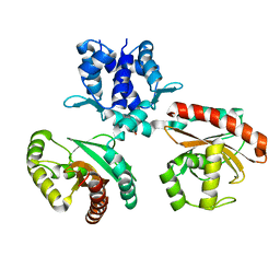 AU of 1jmr by Molmil