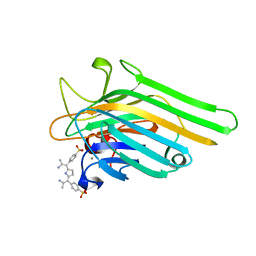 BU of 1jn2 by Molmil