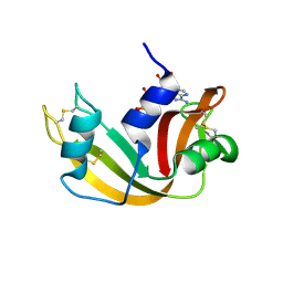 BU of 1jn4 by Molmil