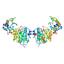 AU of 1jnc by Molmil