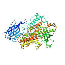 BU of 1jnq by Molmil