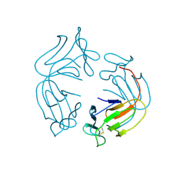 BU of 1jpc by Molmil