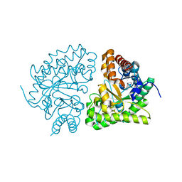 BU of 1jpi by Molmil