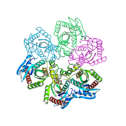 BU of 1jpv by Molmil