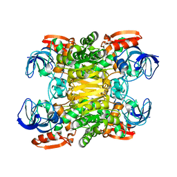 BU of 1jqb by Molmil