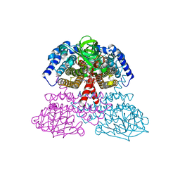 BU of 1jqi by Molmil